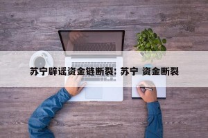 苏宁辟谣资金链断裂: 苏宁 资金断裂