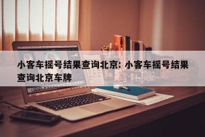 小客车摇号结果查询北京: 小客车摇号结果查询北京车牌