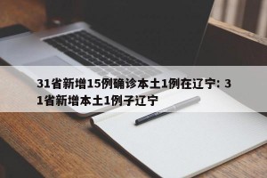 31省新增15例确诊本土1例在辽宁: 31省新增本土1例子辽宁